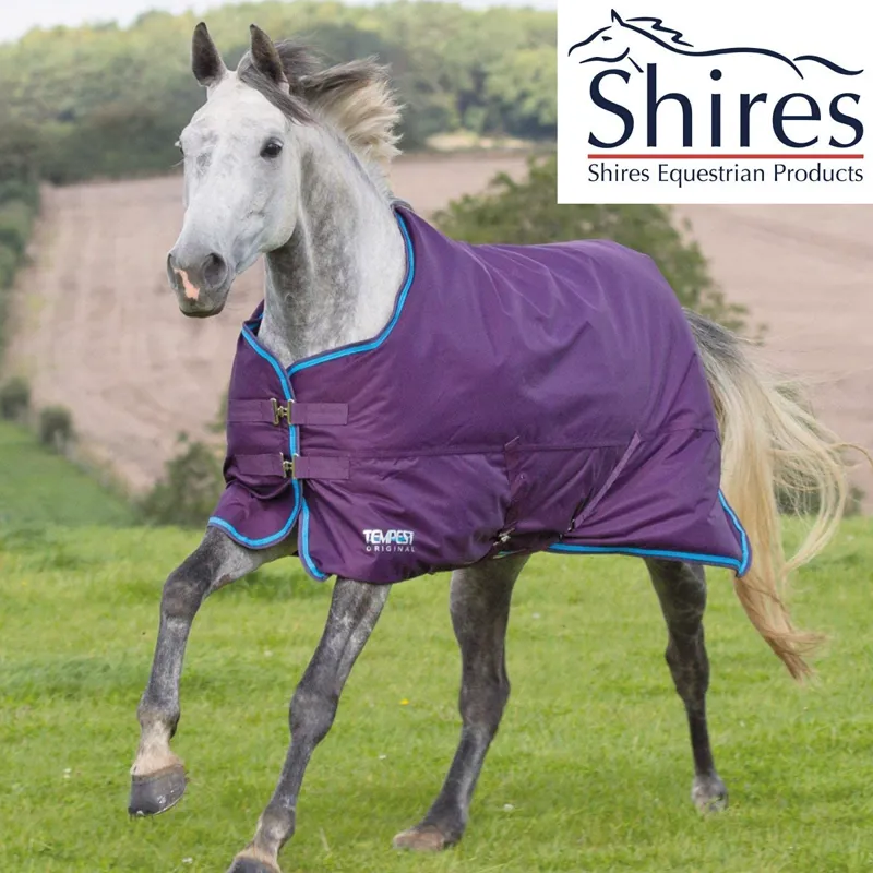 Shires Tempest Original 300g Turnout Rug - Purple/Royal
